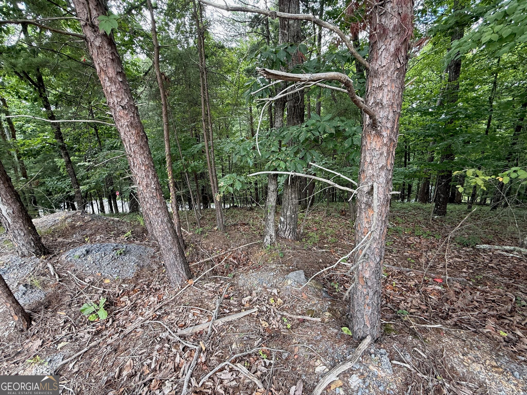 residential lot for sale at LOT 7 Stirratt Road, Ranger, GA 30734 — photo 8