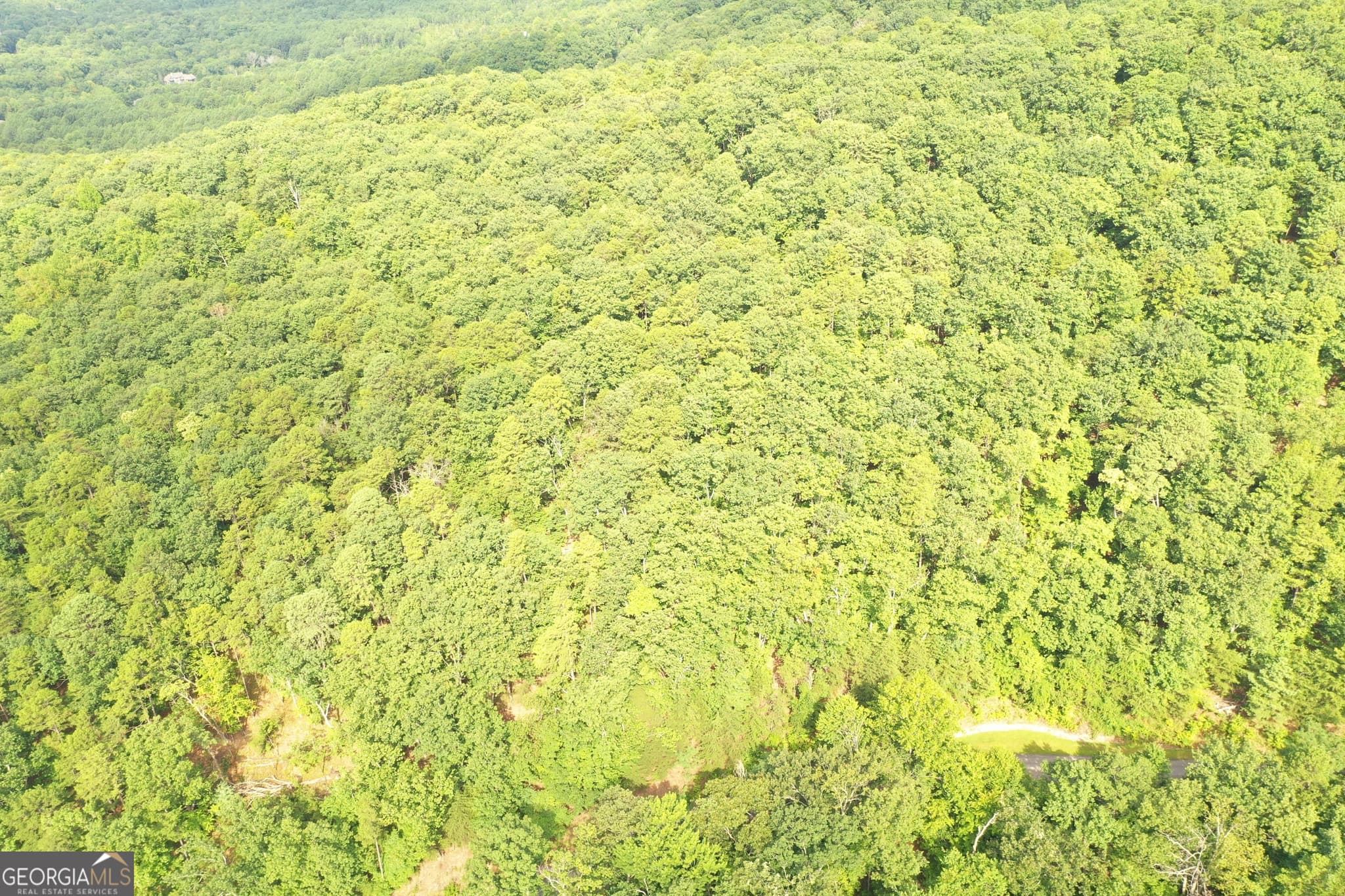 residential lot for sale at 0 Mountain Sweet, Clarkesville, GA 30523 — photo 3