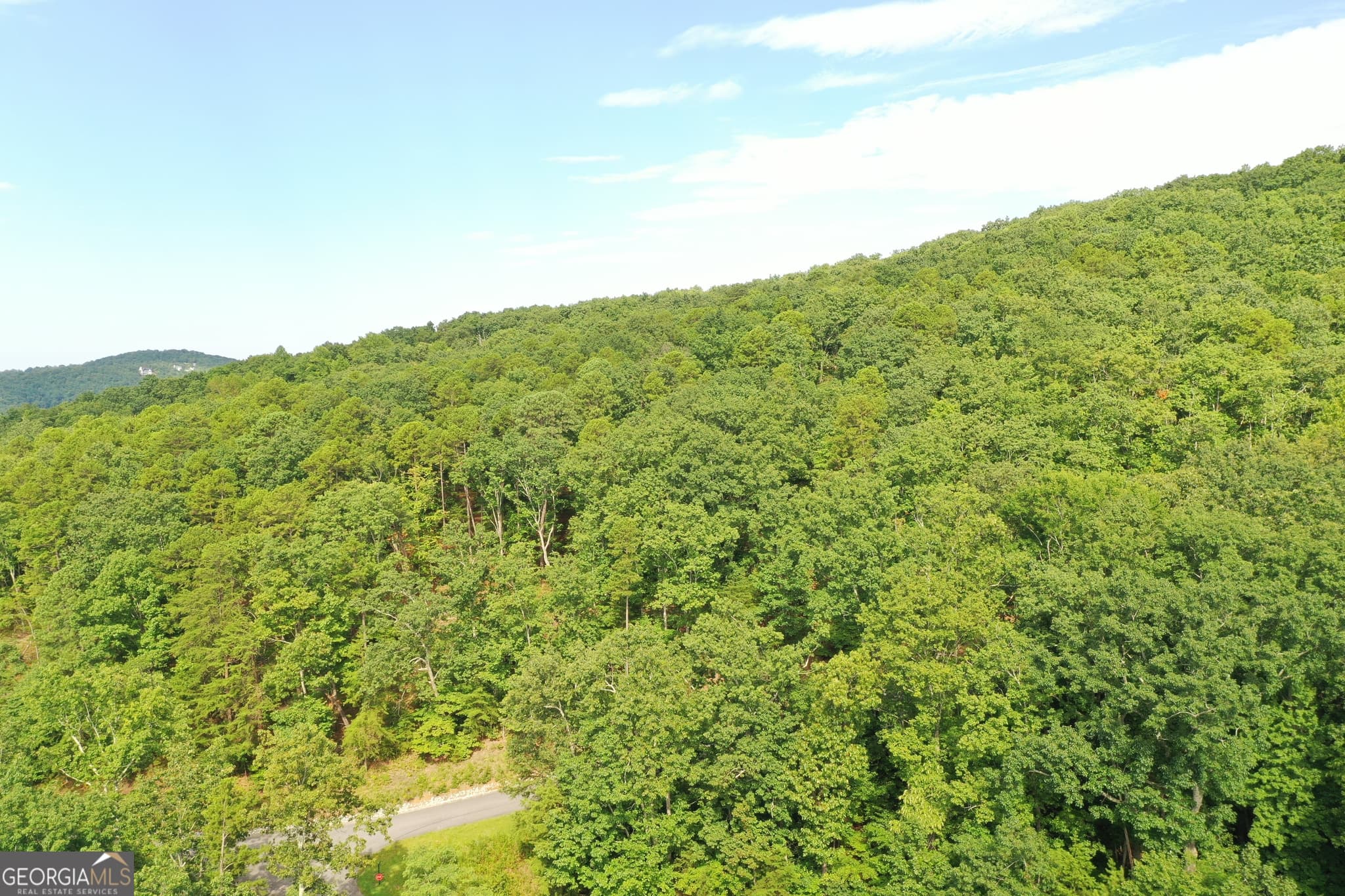 residential lot for sale at 0 Mountain Sweet, Clarkesville, GA 30523 — photo 5