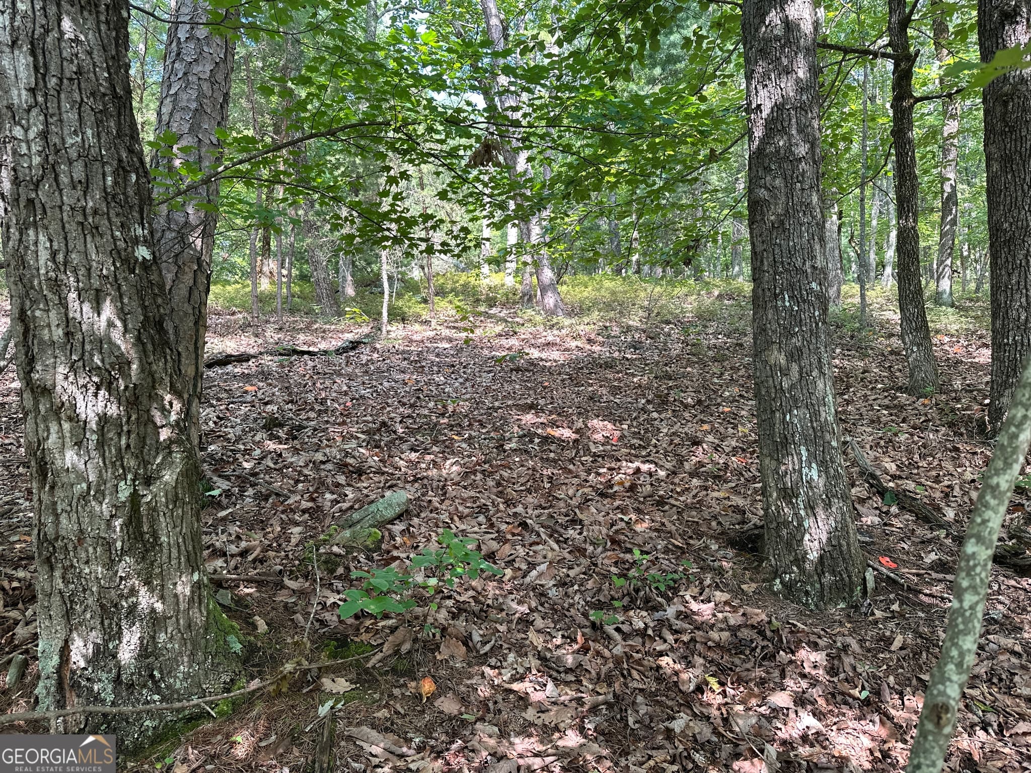 residential lot for sale at 0 Mountain Sweet, Clarkesville, GA 30523 — photo 9