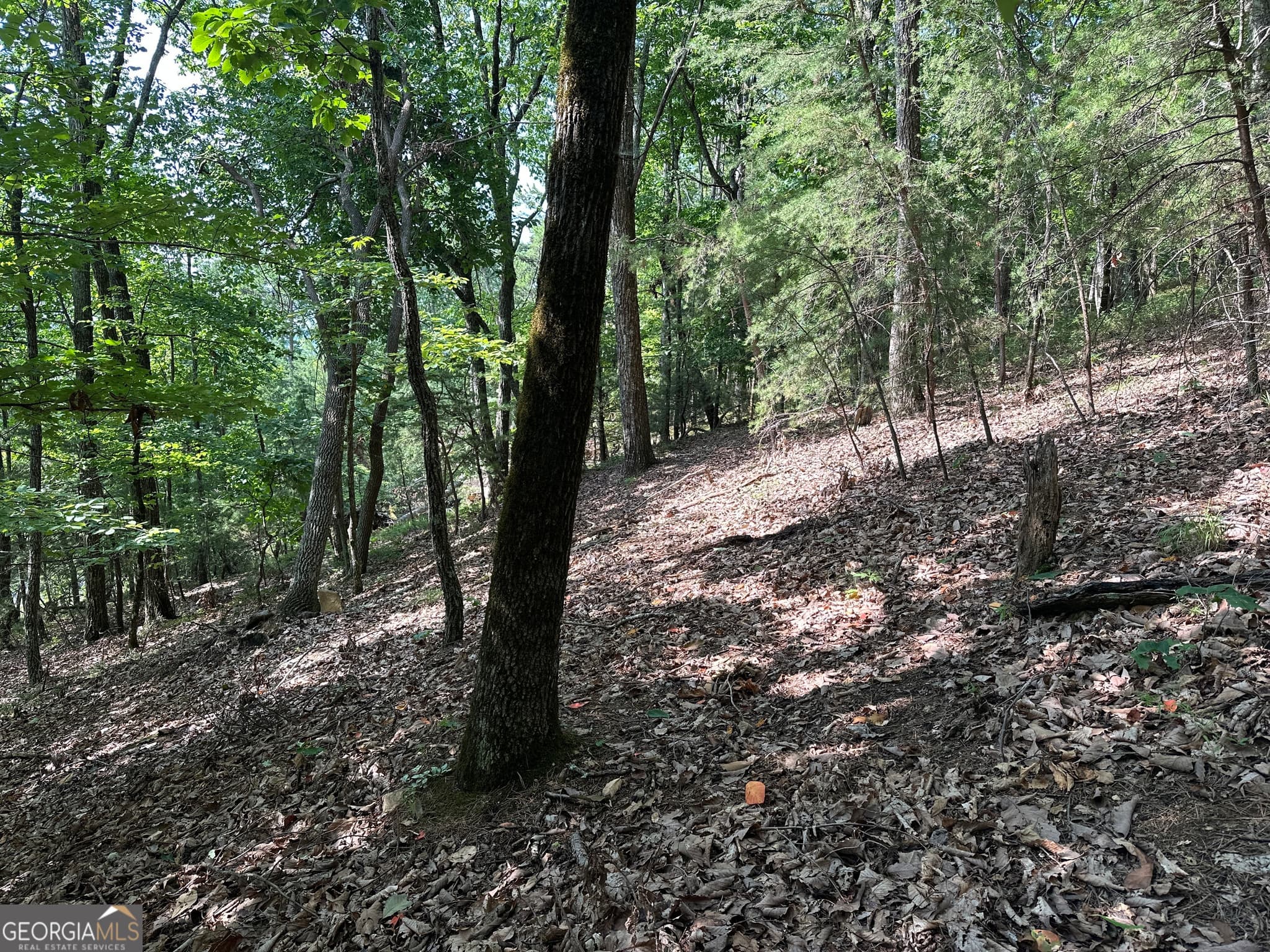 residential lot for sale at 0 Mountain Sweet, Clarkesville, GA 30523 — photo 10
