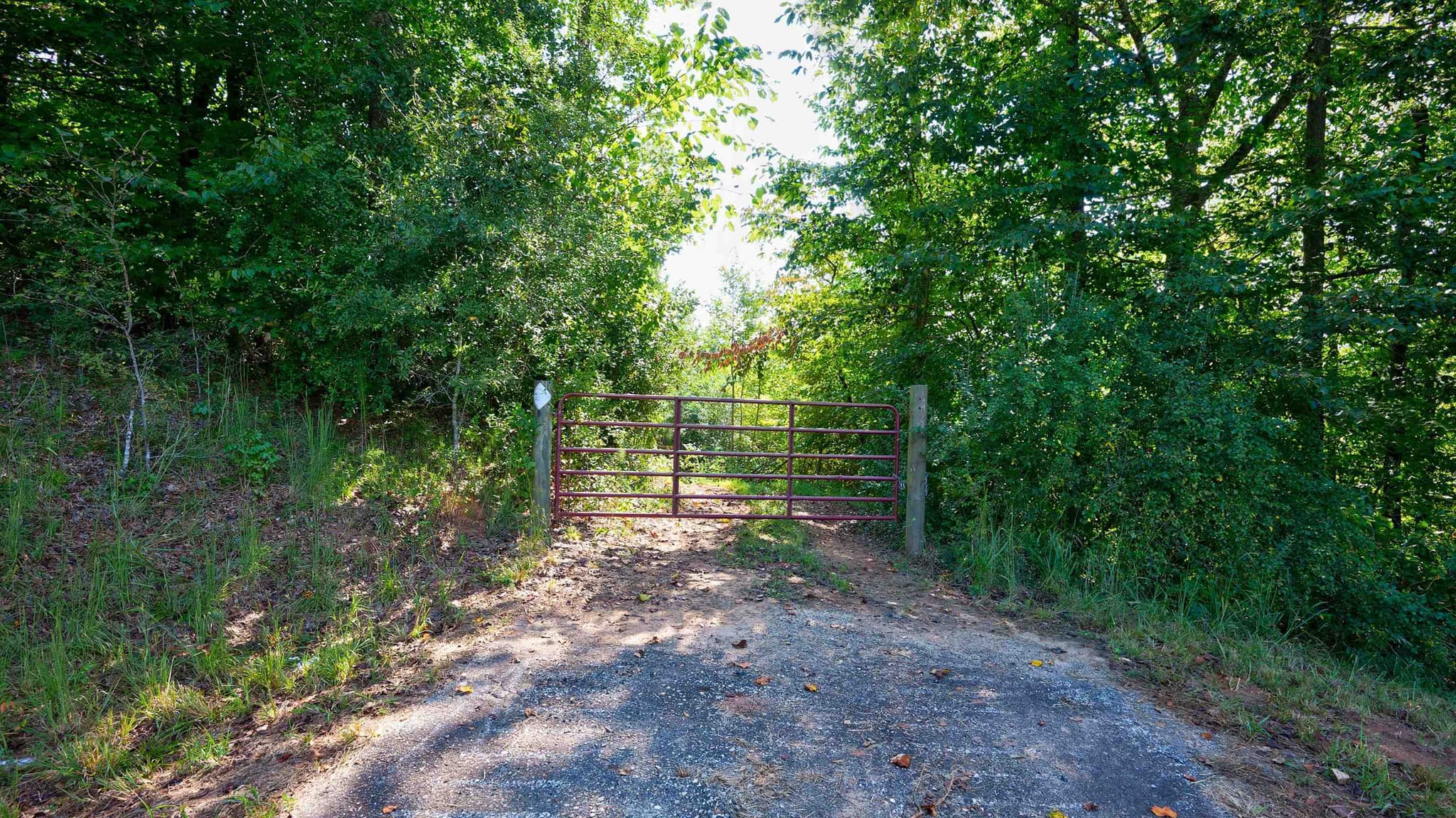 unimproved land for sale at 0 Mccoy Bridge Road, Homer, GA 30547 — photo 6