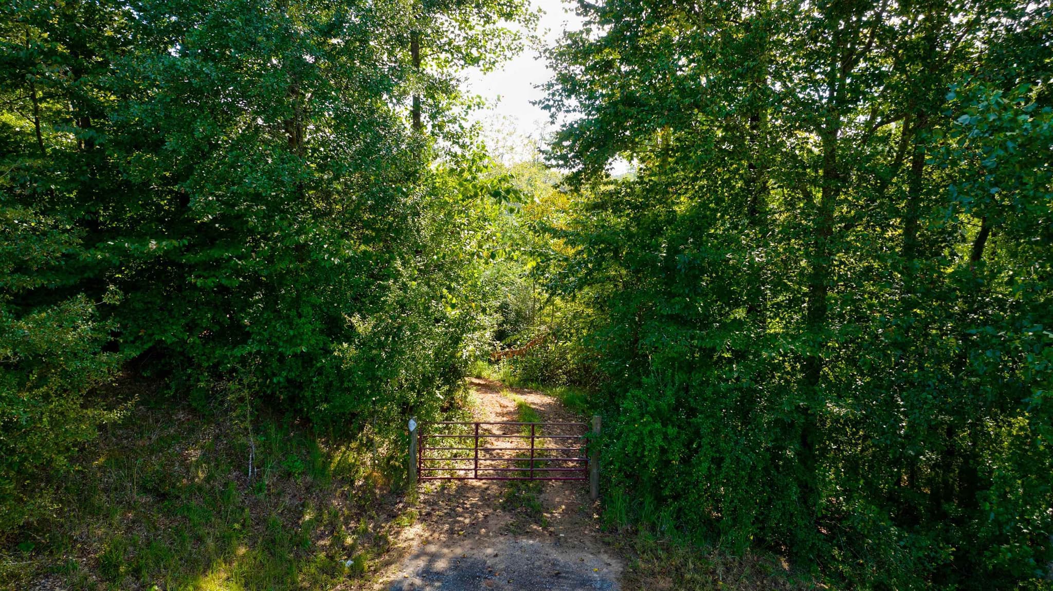 unimproved land for sale at 0 Mccoy Bridge Road, Homer, GA 30547 — photo 3
