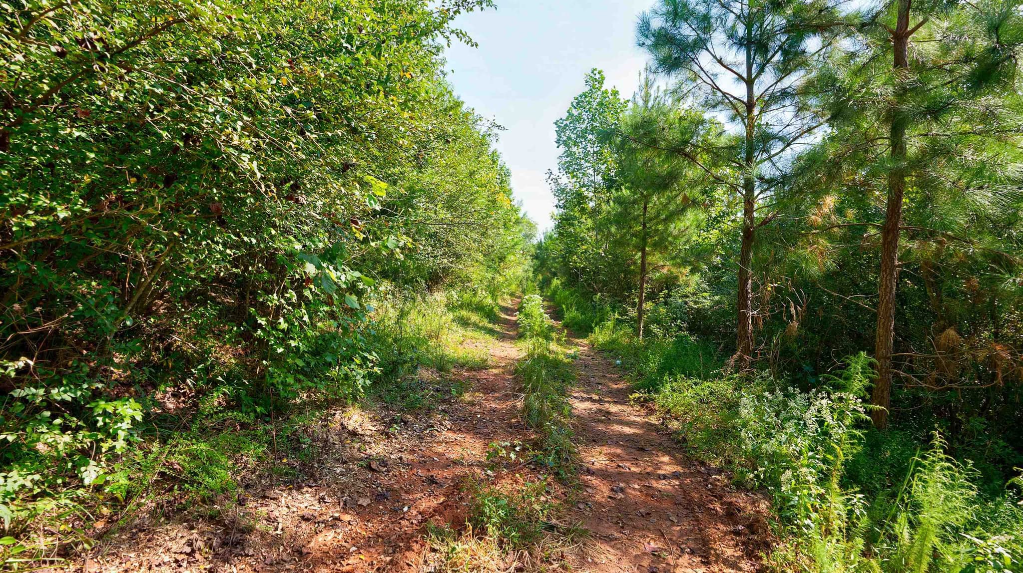 unimproved land for sale at 0 Mccoy Bridge Road, Homer, GA 30547 — photo 5