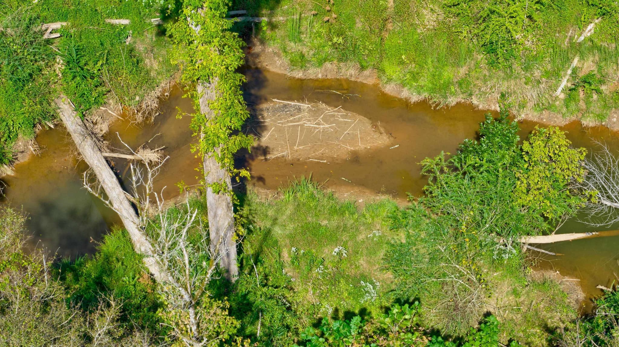 unimproved land for sale at 0 Mccoy Bridge Road, Homer, GA 30547 — photo 8