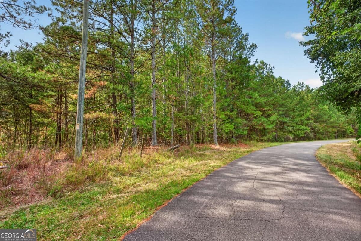 residential lot for sale at 0 Weatherby Road 5, Ball Ground, GA 30107 — photo 5