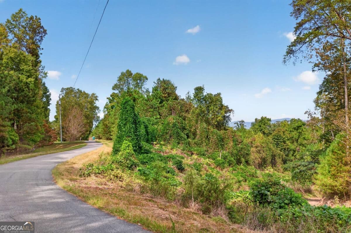 residential lot for sale at 0 Weatherby Road 5, Ball Ground, GA 30107 — photo 4