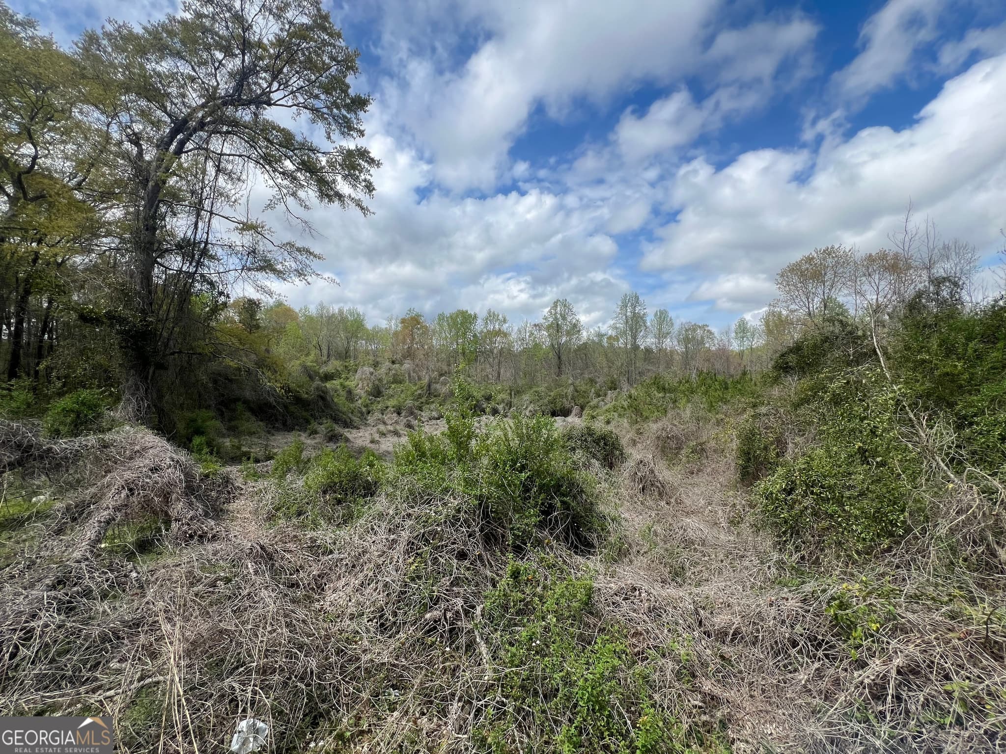 unimproved land for sale at 1029 CR- 474, Lafayette, AL 36862 — photo 2