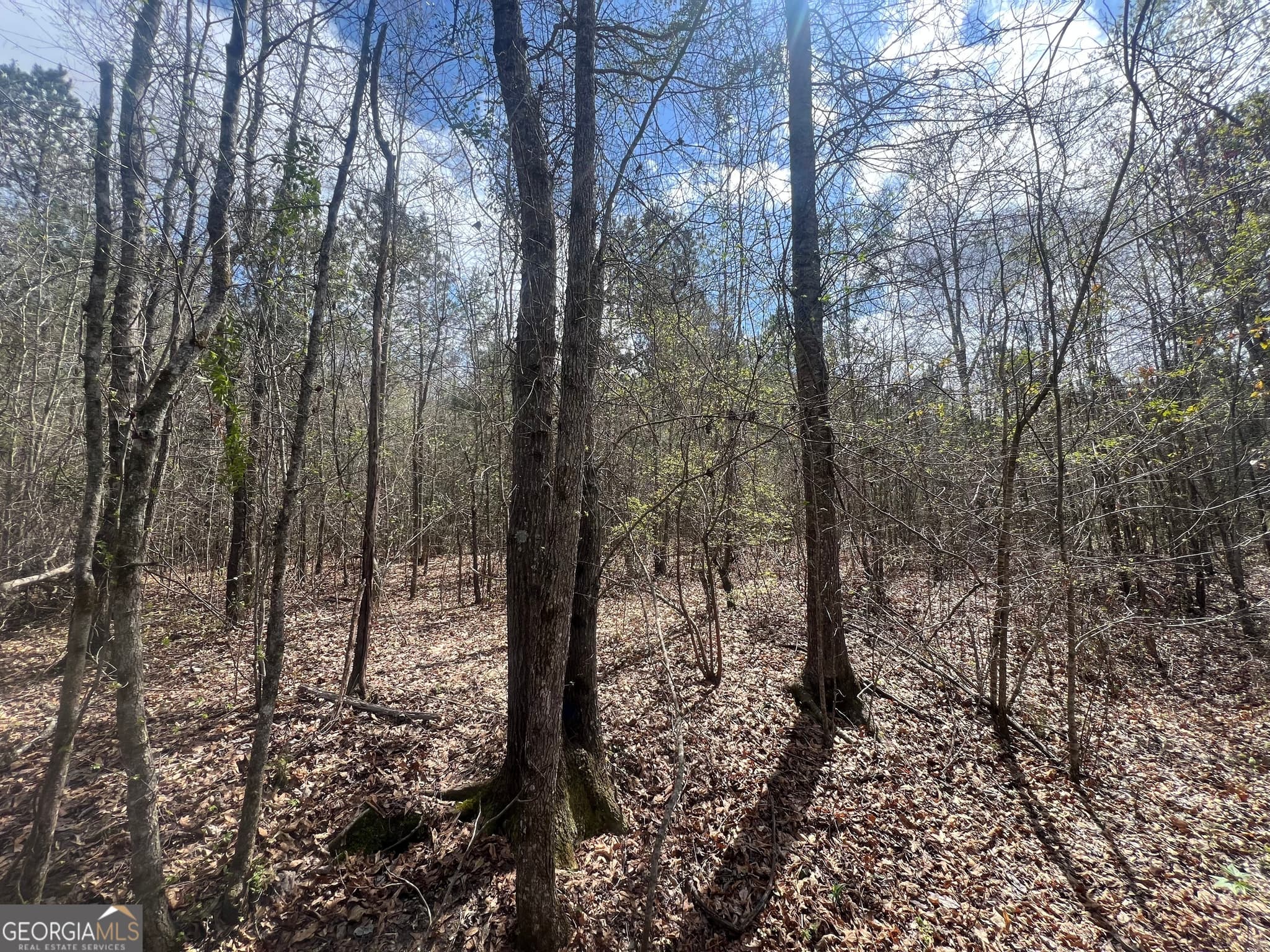 unimproved land for sale at 1029 CR- 474, Lafayette, AL 36862 — photo 7