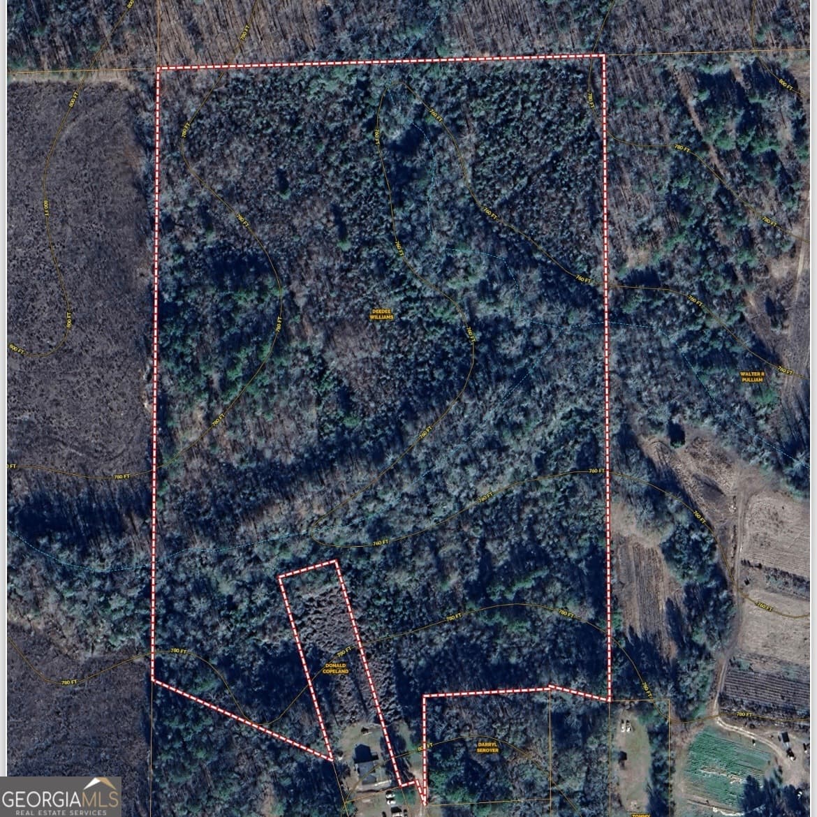 unimproved land for sale at 1029 CR- 474, Lafayette, AL 36862