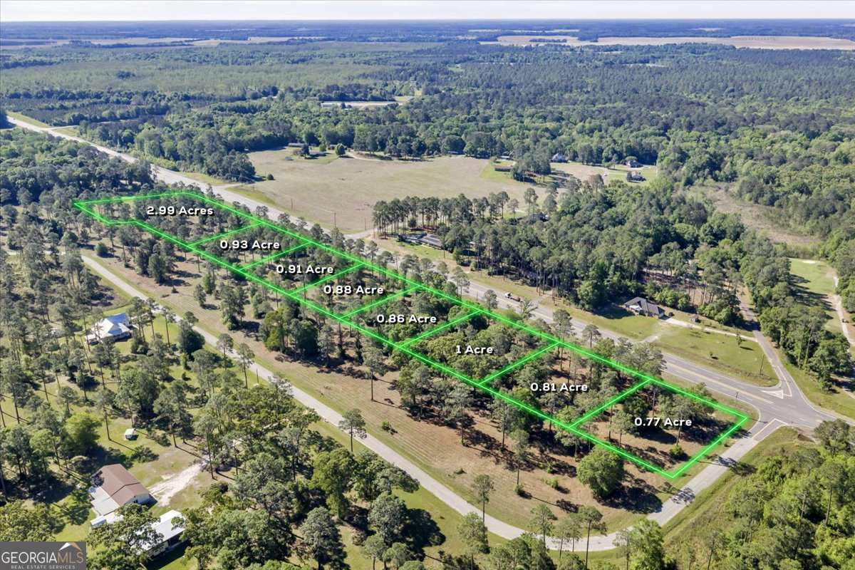residential lot for sale at 0 Us Hwy 280 W Lot#31, Cordele, GA 31015 — photo 2