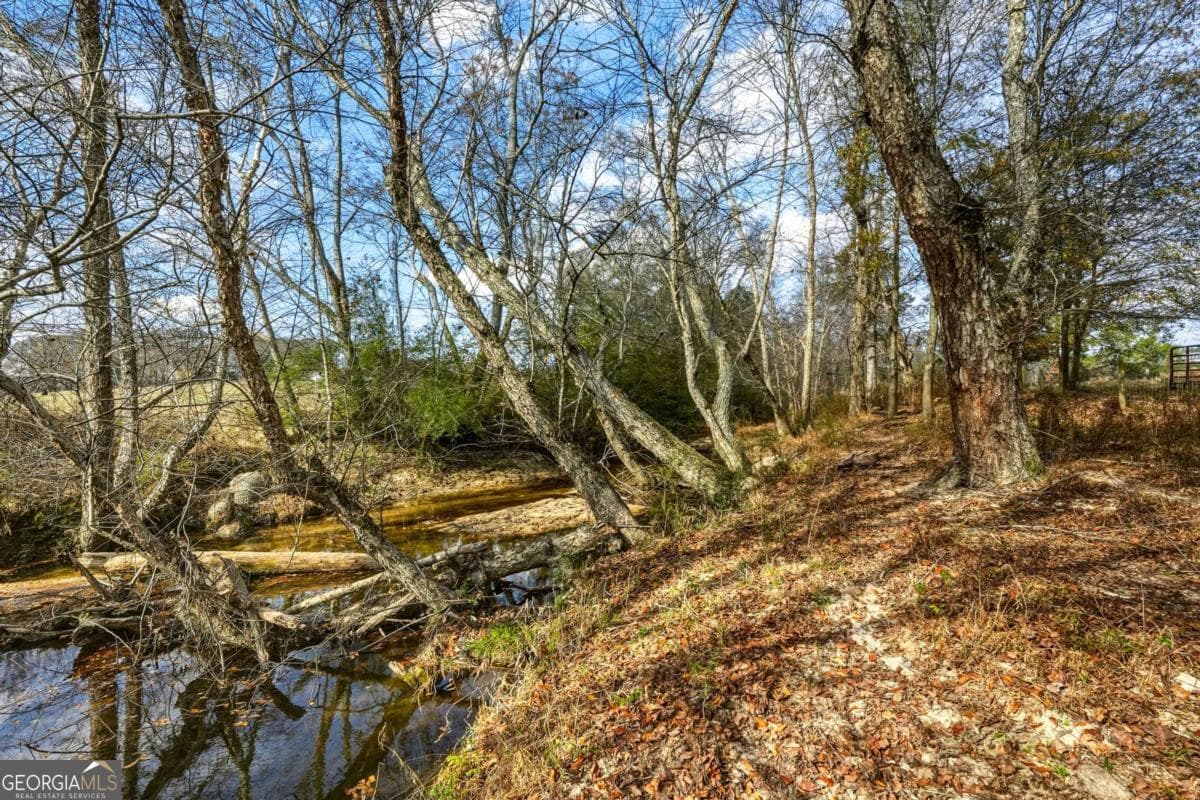 agriculture for sale at 0 Patrick Mill Road, Winder, GA 30680 — photo 9