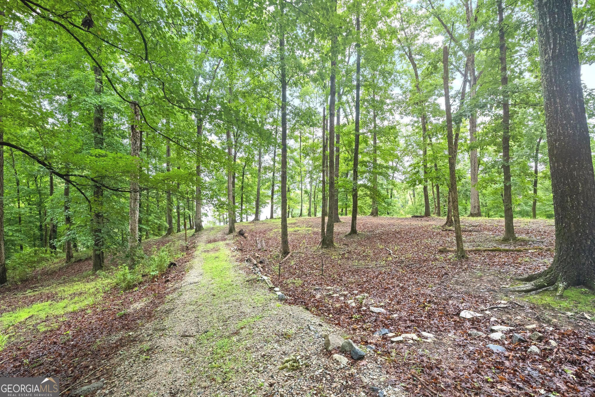 4 bedroom, 3.5 bathroom, 4,106 sq ft single family residence for sale at 394 Ferrell Tatum Road, Lagrange, GA 30240 — photo 8