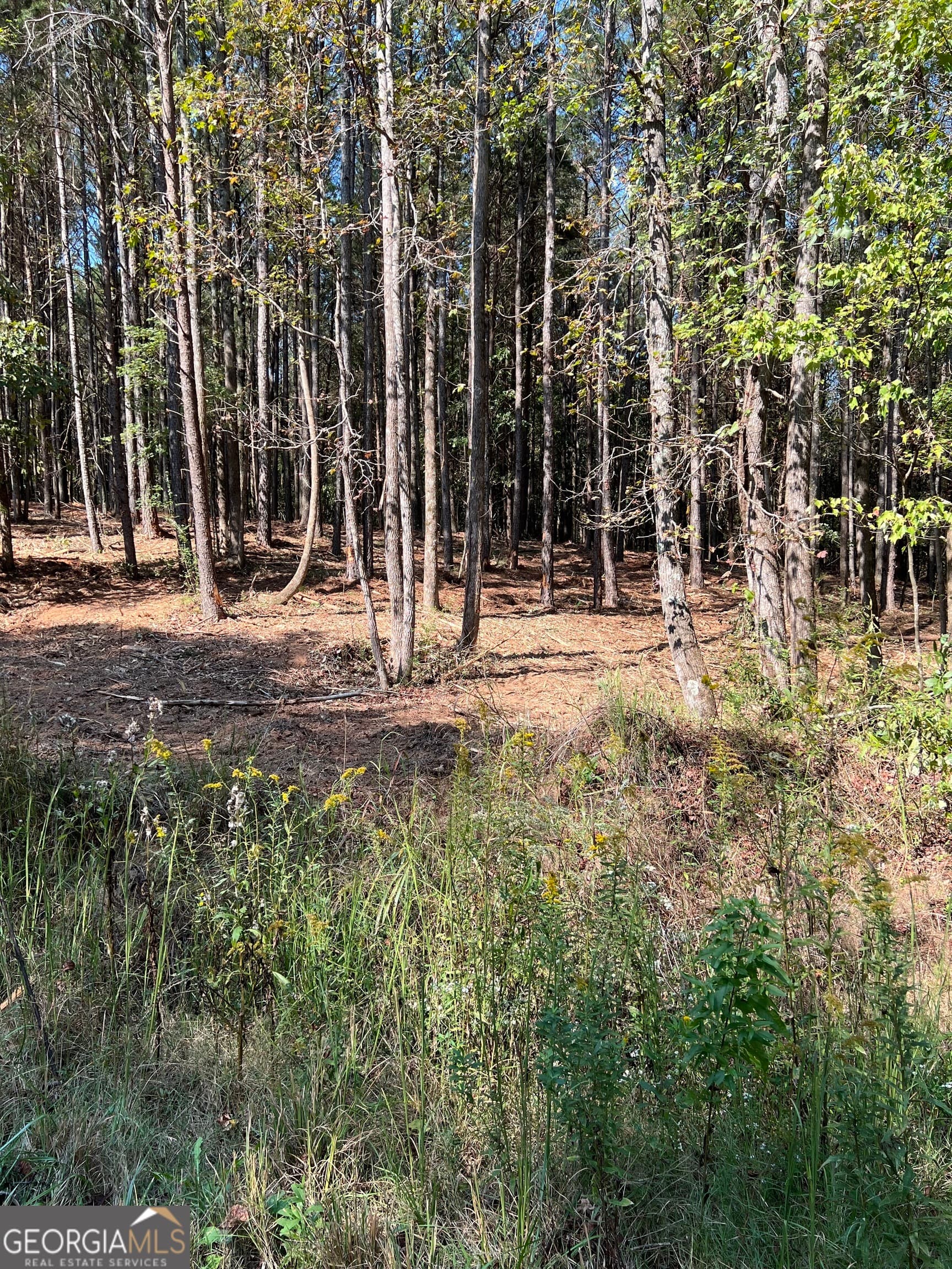 residential lot for sale at 800 Browning Road, Jasper, GA 30143 — photo 2