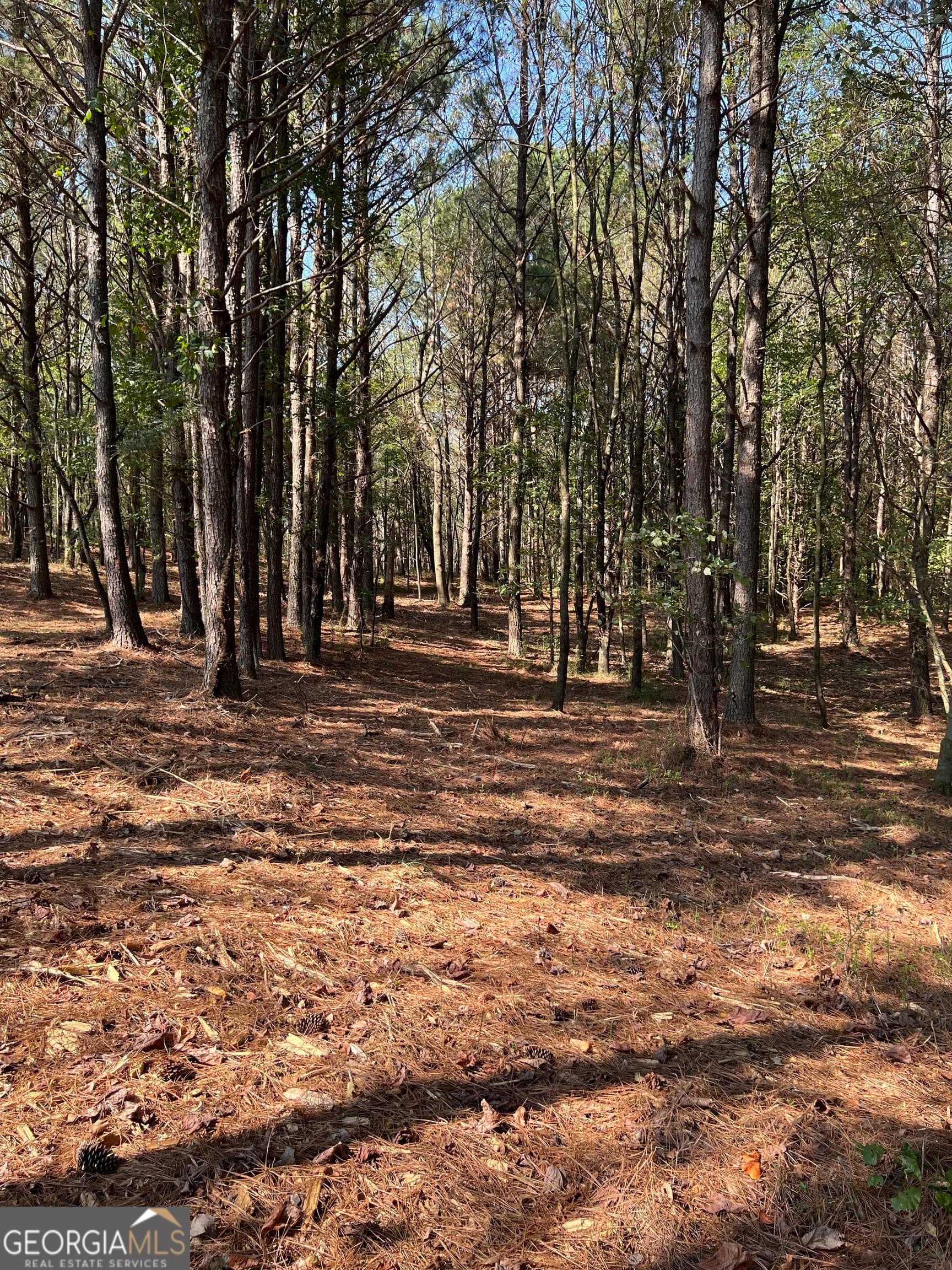 residential lot for sale at 800 Browning Road, Jasper, GA 30143 — photo 6
