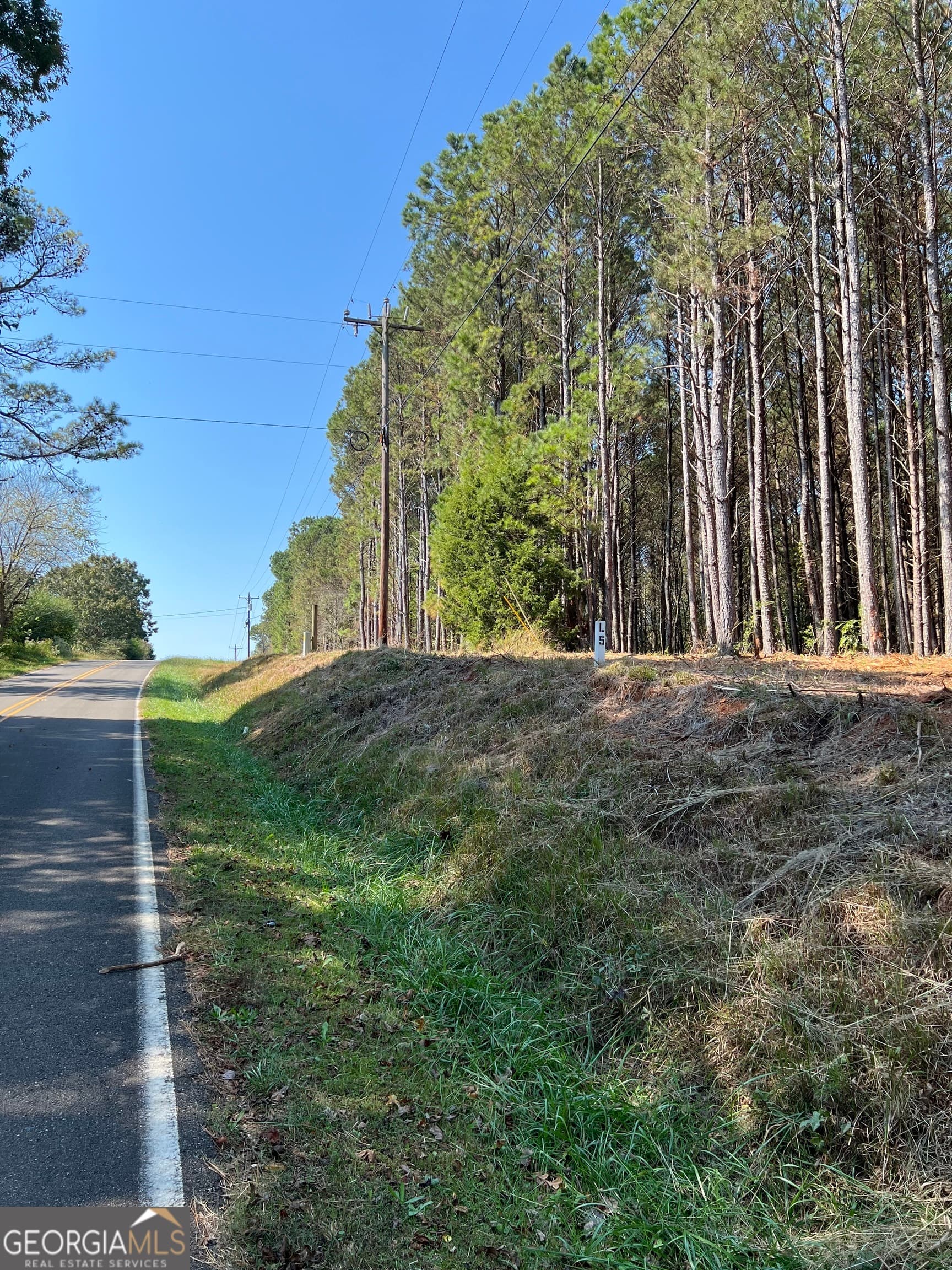 residential lot for sale at 800 Browning Road, Jasper, GA 30143 — photo 3