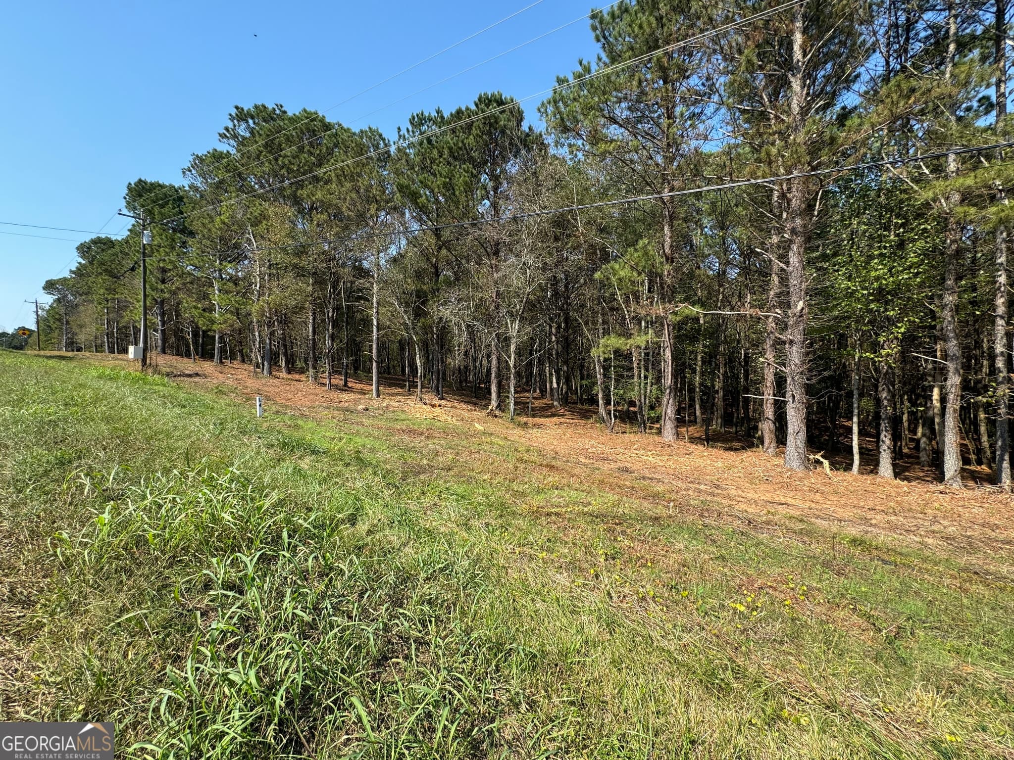 residential lot for sale at 800 Browning Road, Jasper, GA 30143 — photo 1 of 6