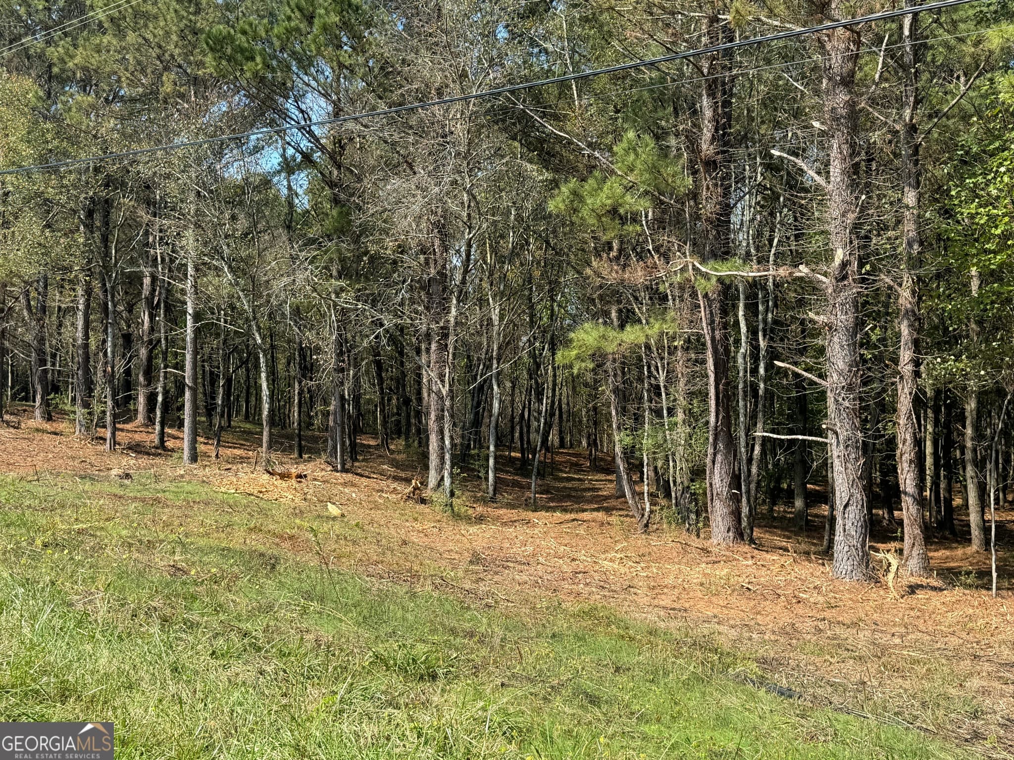 residential lot for sale at 800 Browning Road, Jasper, GA 30143 — photo 5