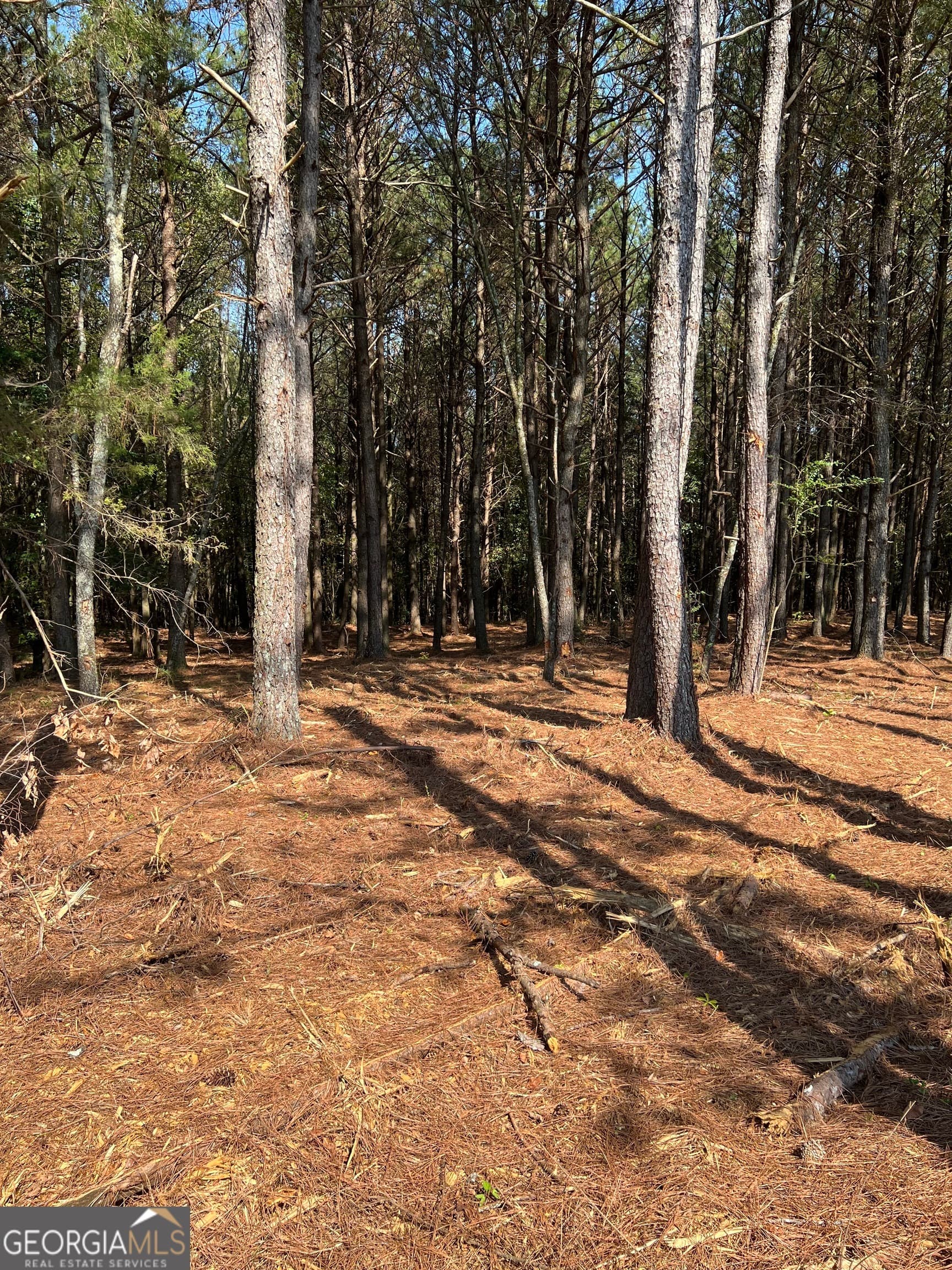 residential lot for sale at 800 Browning Road, Jasper, GA 30143 — photo 4