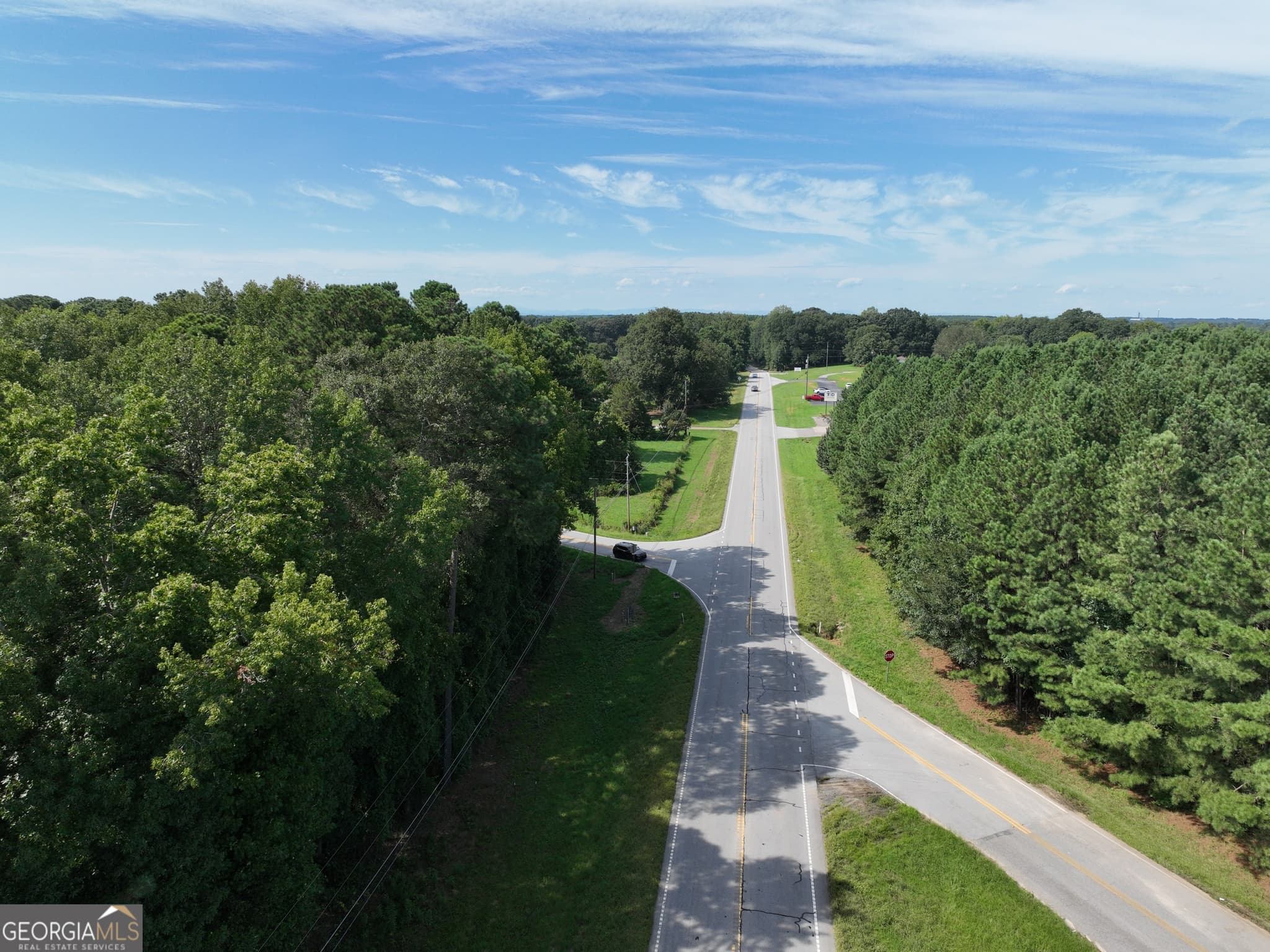 commercial for sale at 0 Highway 17, Royston, GA 30662 — photo 2