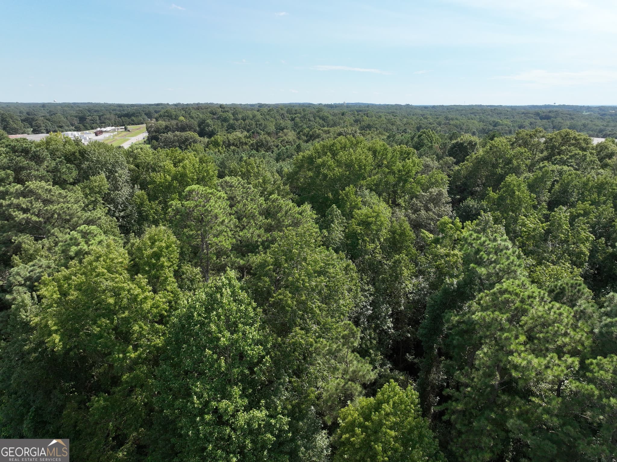 commercial for sale at 0 Highway 17, Royston, GA 30662 — photo 6