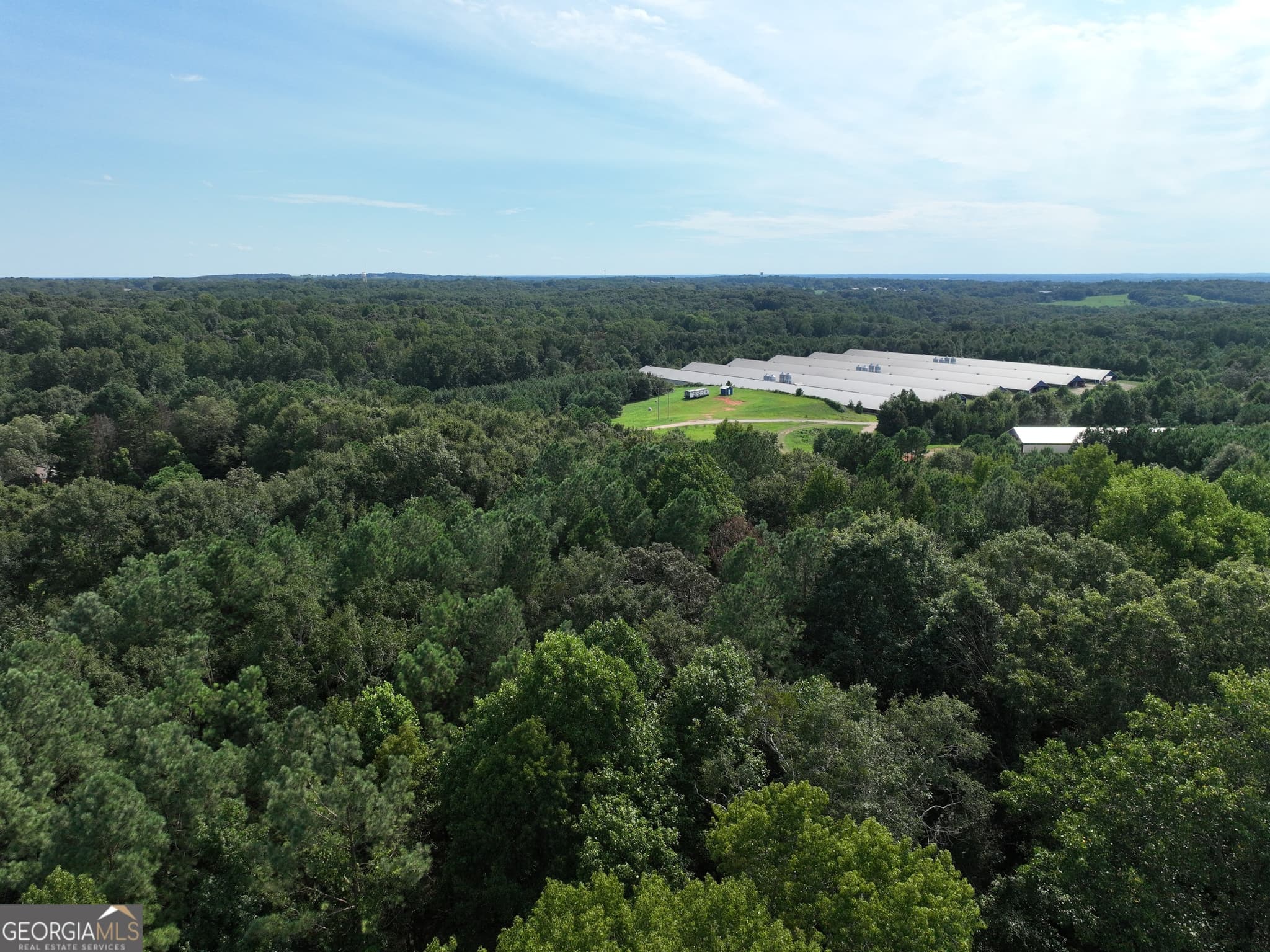 commercial for sale at 0 Highway 17, Royston, GA 30662 — photo 7