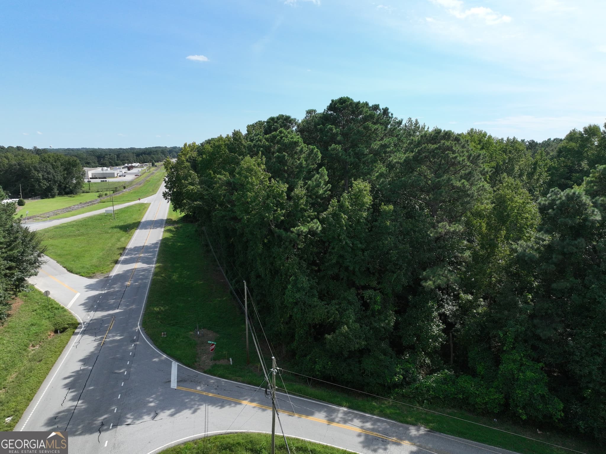 commercial for sale at 0 Highway 17, Royston, GA 30662 — photo 3