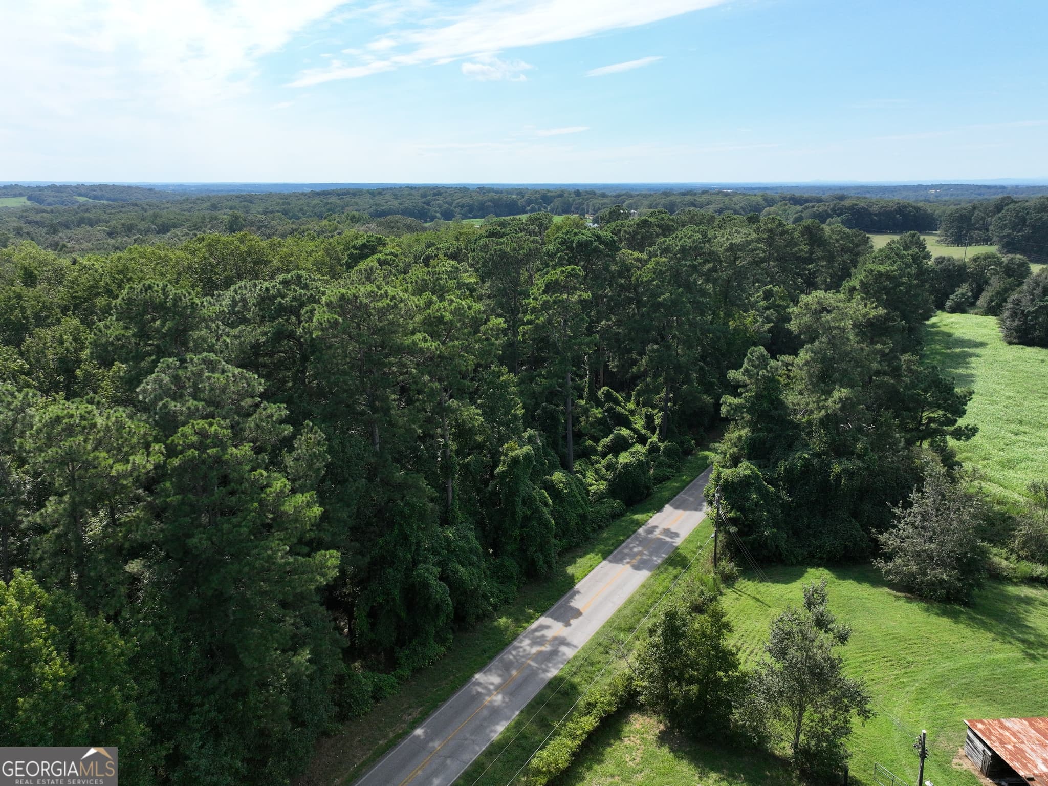 commercial for sale at 0 Highway 17, Royston, GA 30662 — photo 5