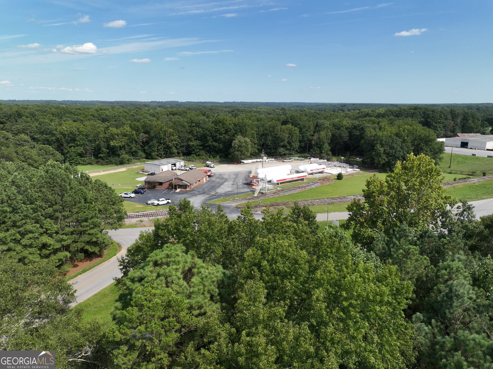commercial for sale at 0 Highway 17, Royston, GA 30662 — photo 10