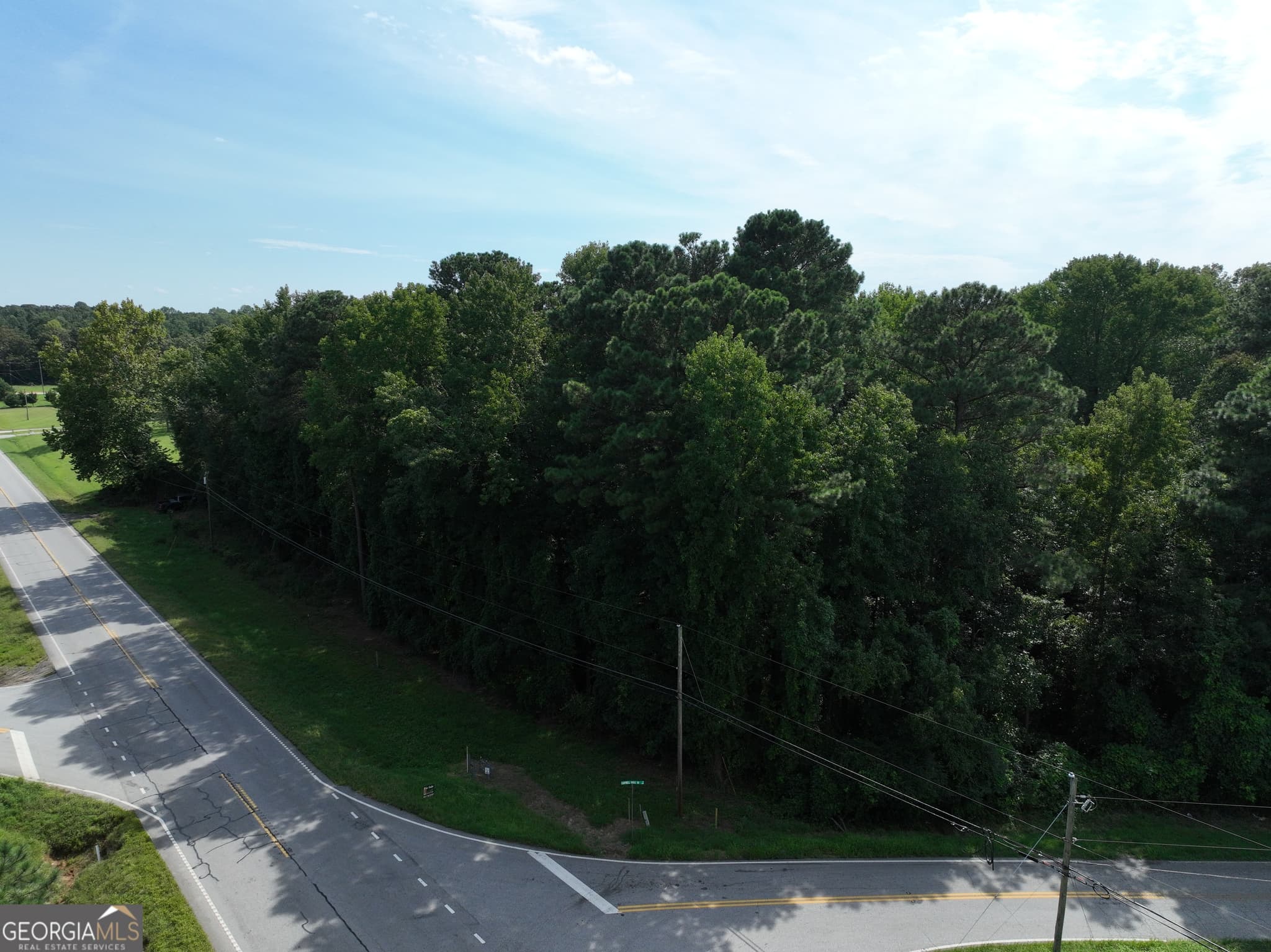 commercial for sale at 0 Highway 17, Royston, GA 30662 — photo 4