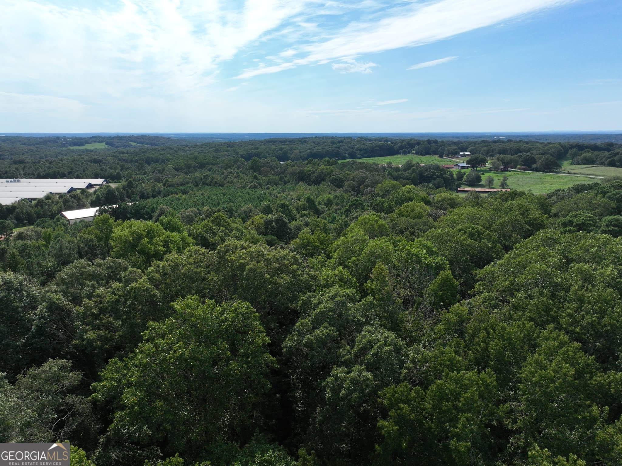 commercial for sale at 0 Highway 17, Royston, GA 30662 — photo 8