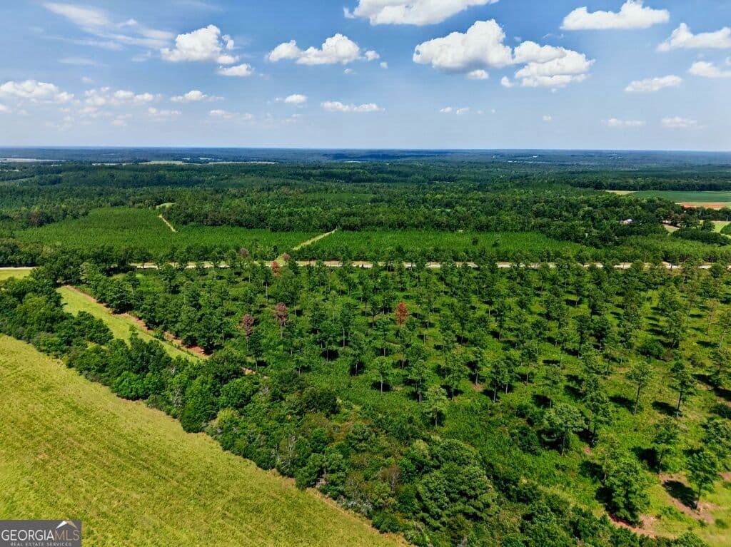unimproved land for sale at 0 Hwy 30 TRACT B, Buena Vista, GA 31803 — photo 2