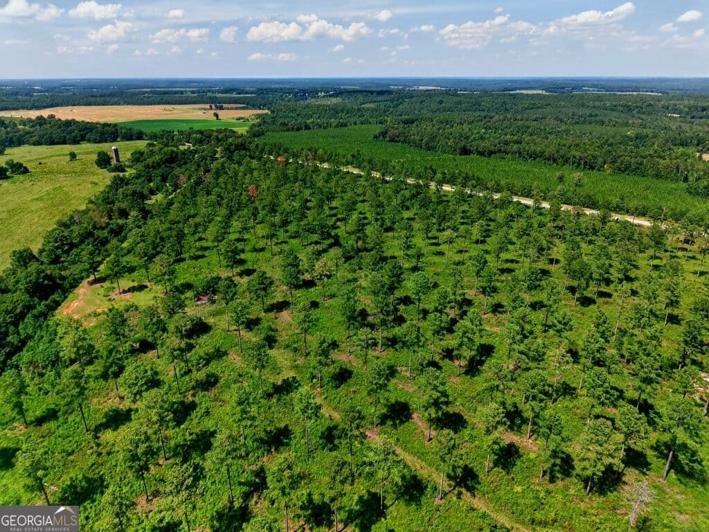 unimproved land for sale at 0 Hwy 30 TRACT B, Buena Vista, GA 31803 — photo 6