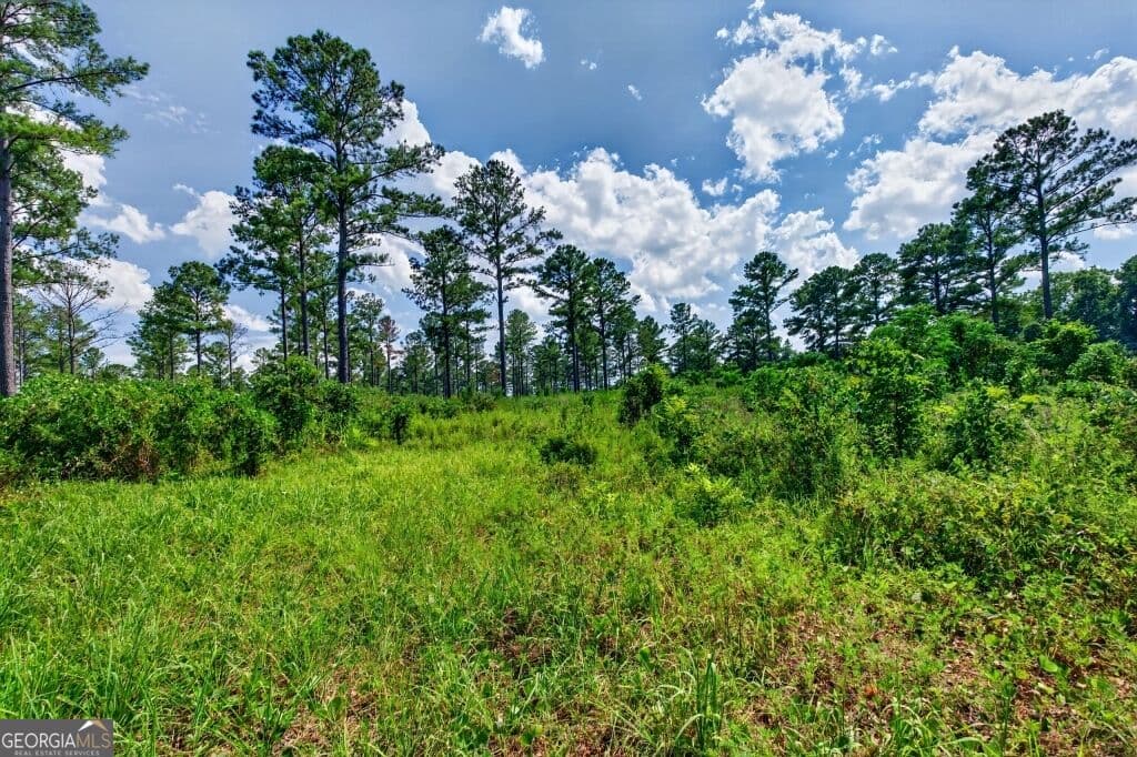 unimproved land for sale at 0 Hwy 30 TRACT B, Buena Vista, GA 31803 — photo 7