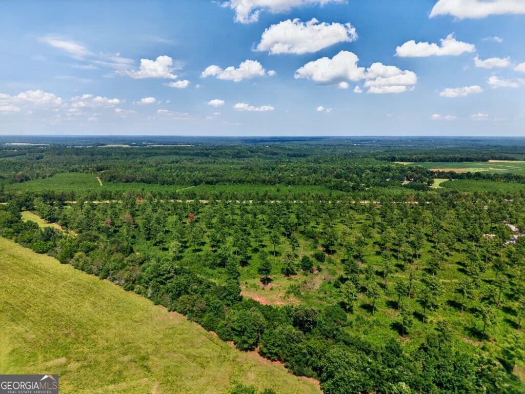 unimproved land for sale at 0 Hwy 30 TRACT B, Buena Vista, GA 31803 — photo 3