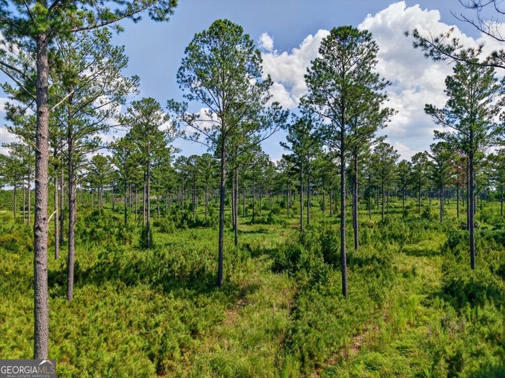 unimproved land for sale at 0 Hwy 30 TRACT B, Buena Vista, GA 31803 — photo 1 of 10