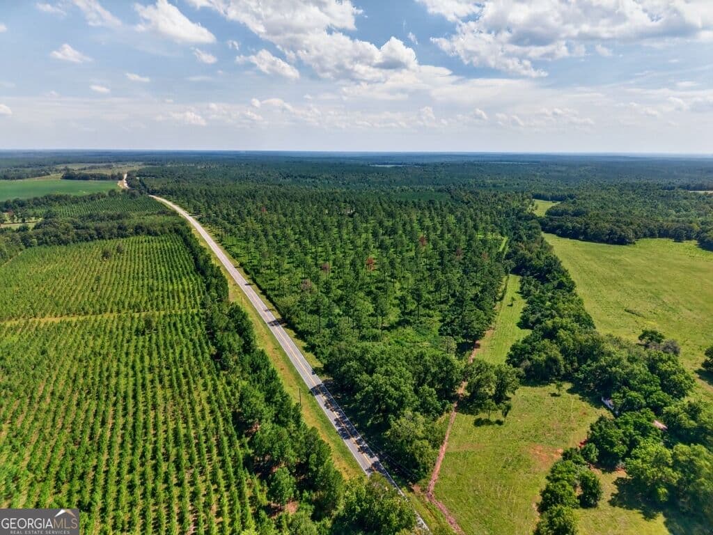 unimproved land for sale at 0 Hwy 30 TRACT B, Buena Vista, GA 31803 — photo 5