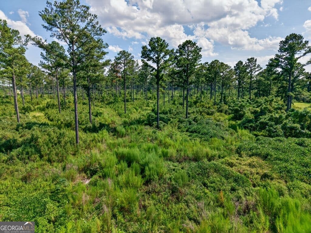 unimproved land for sale at 0 Hwy 30 TRACT B, Buena Vista, GA 31803 — photo 9