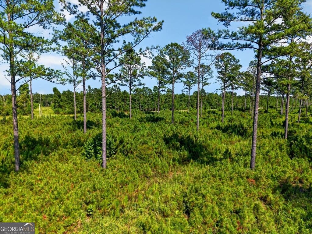 unimproved land for sale at 0 Hwy 30 TRACT B, Buena Vista, GA 31803 — photo 10