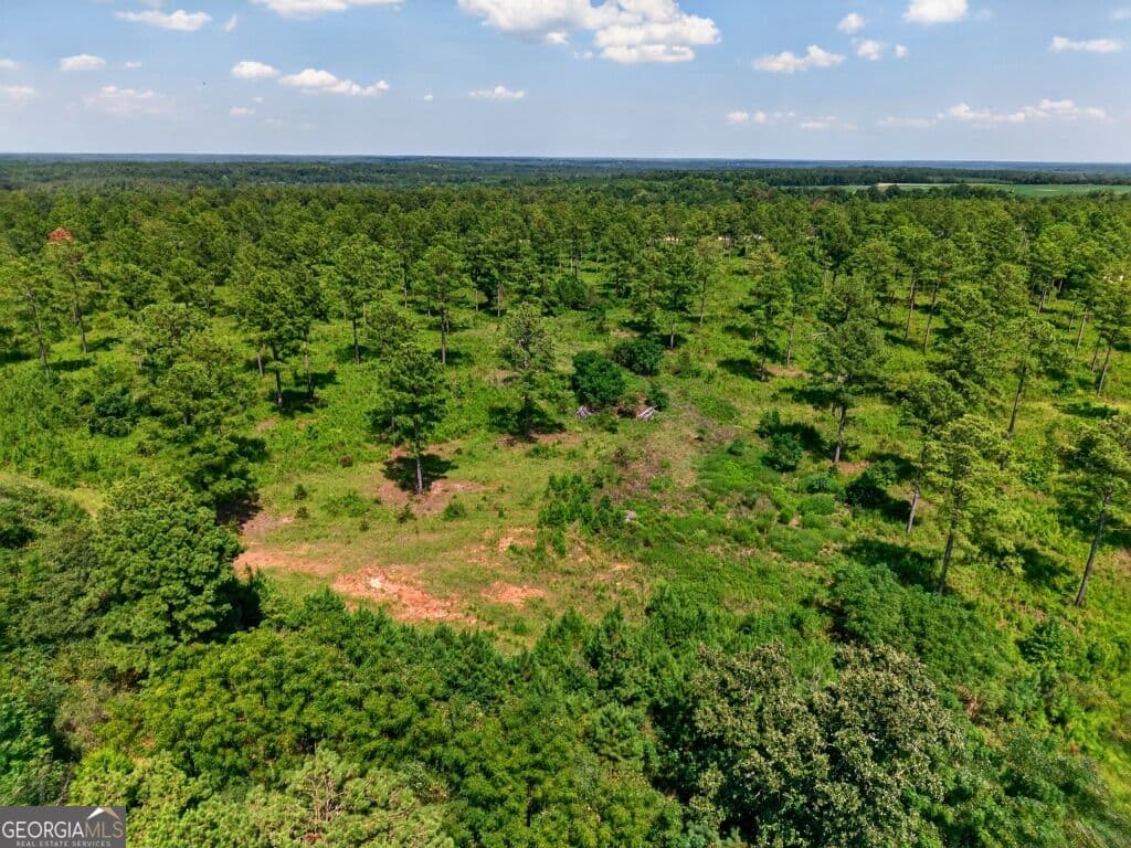 unimproved land for sale at 0 Hwy 30 TRACT B, Buena Vista, GA 31803 — photo 4