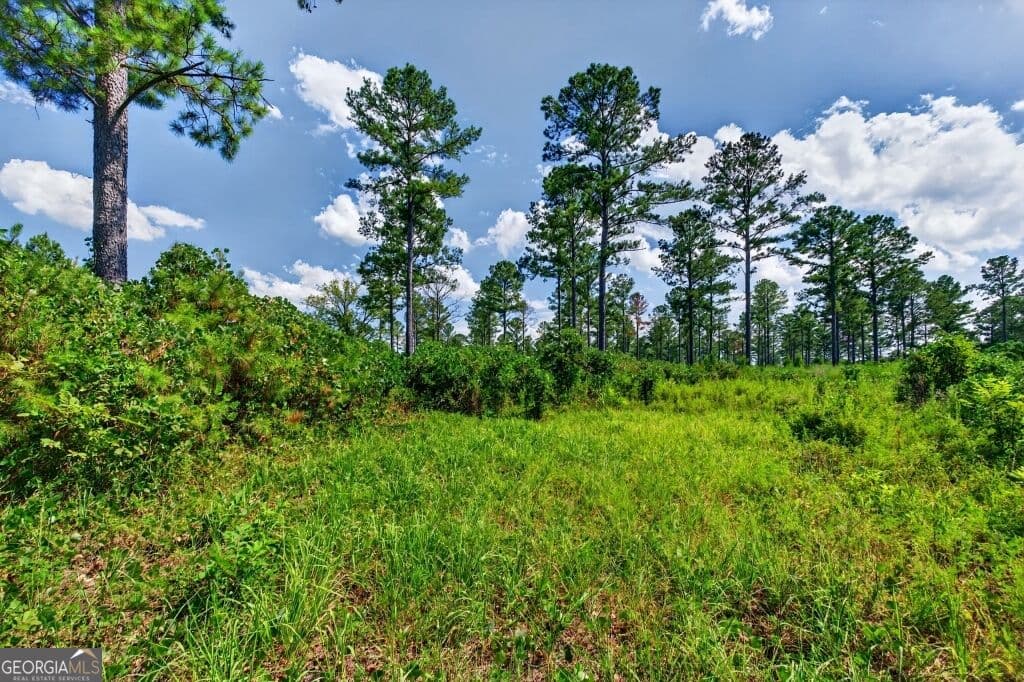 unimproved land for sale at 0 Hwy 30 TRACT B, Buena Vista, GA 31803 — photo 8