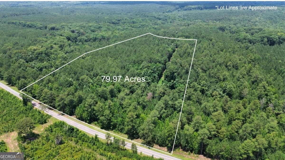 agriculture for sale at 0 Springfield / Turner Road, Union Point, GA 30669 — photo 2