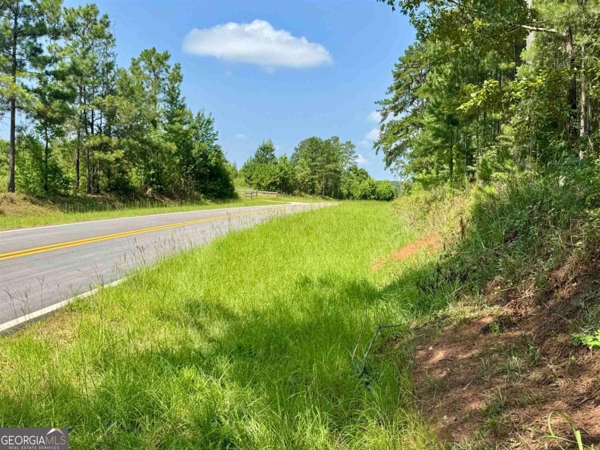 agriculture for sale at 0 Springfield / Turner Road, Union Point, GA 30669 — photo 6