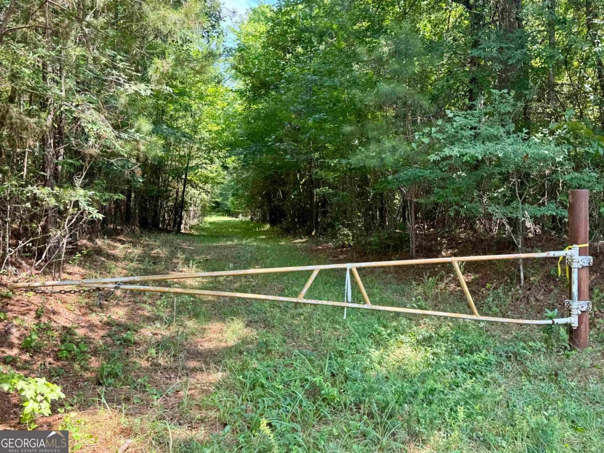 agriculture for sale at 0 Springfield / Turner Road, Union Point, GA 30669 — photo 3