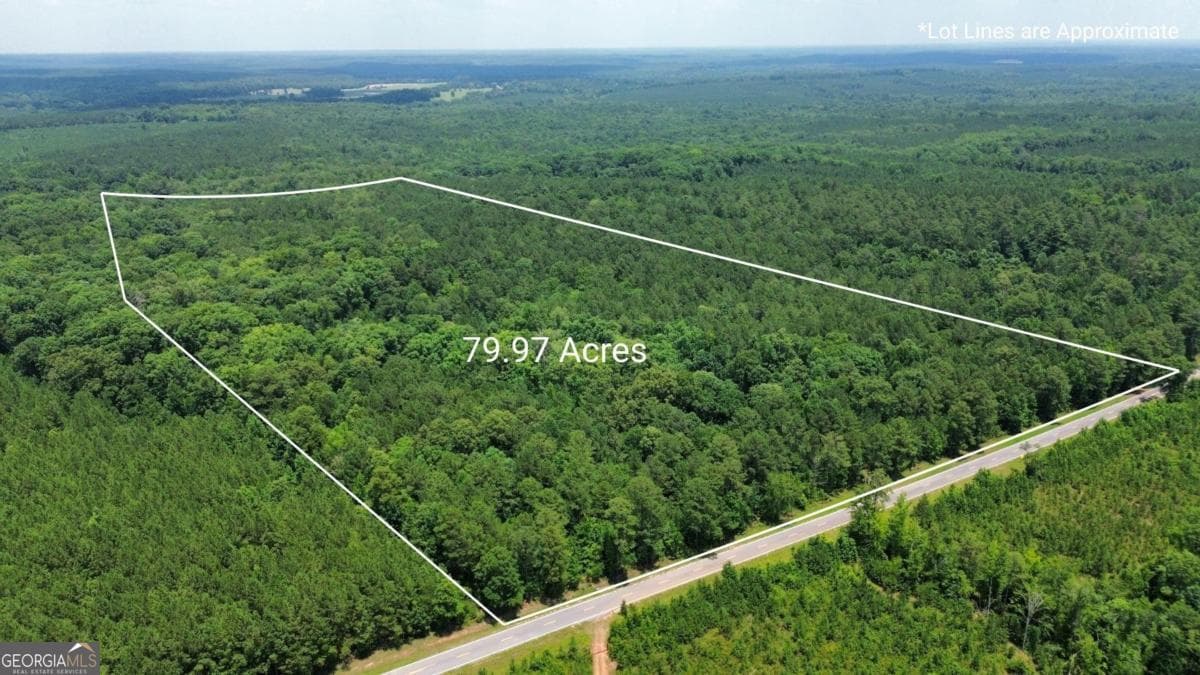 agriculture for sale at 0 Springfield / Turner Road, Union Point, GA 30669