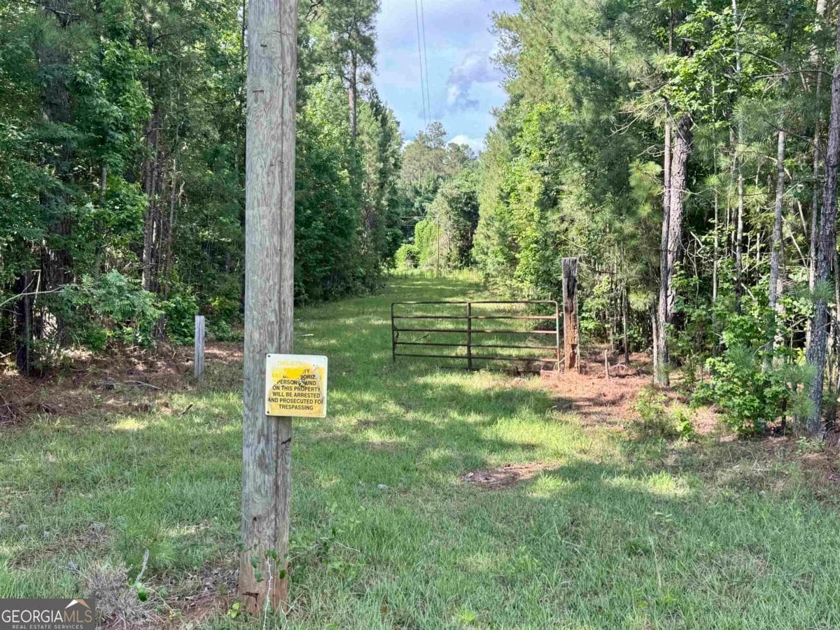 agriculture for sale at 0 Springfield / Turner Road, Union Point, GA 30669 — photo 5