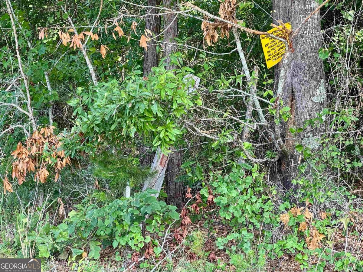agriculture for sale at 0 Springfield / Turner Road, Union Point, GA 30669 — photo 9
