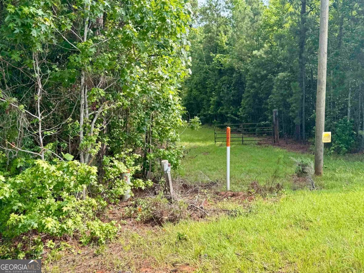 agriculture for sale at 0 Springfield / Turner Road, Union Point, GA 30669 — photo 10