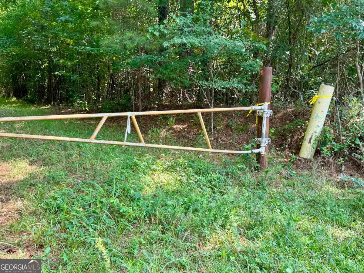 agriculture for sale at 0 Springfield / Turner Road, Union Point, GA 30669 — photo 4