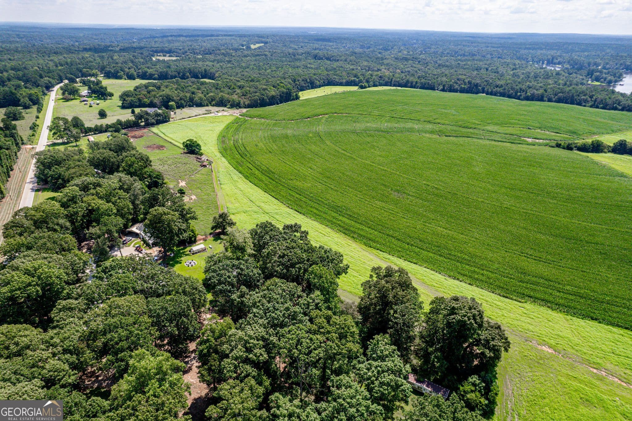 agriculture for sale at 100AC Twin Bridges Road, Eatonton, GA 31024 — photo 7